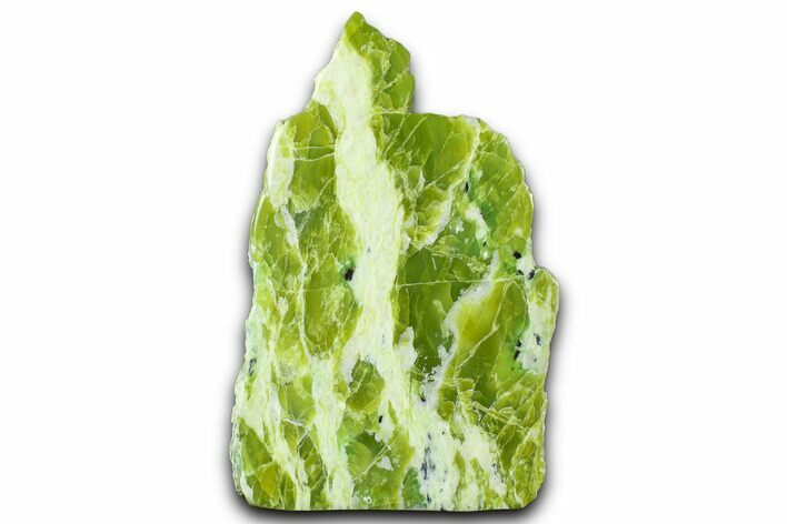Free-Standing Polished Noble Serpentine - Washington #367383